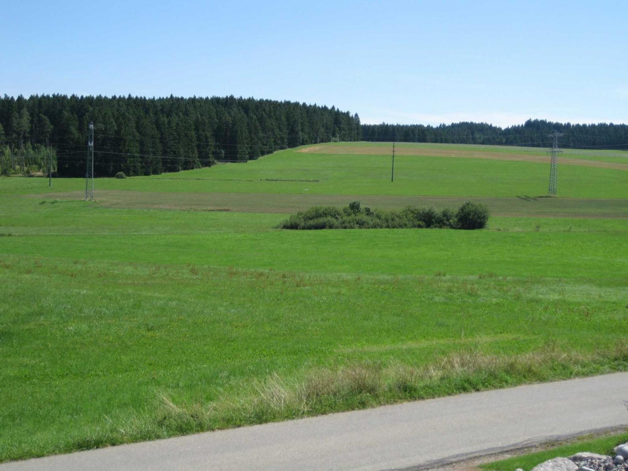 Haus Rehblick Apartment Bräunlingen Екстериор снимка